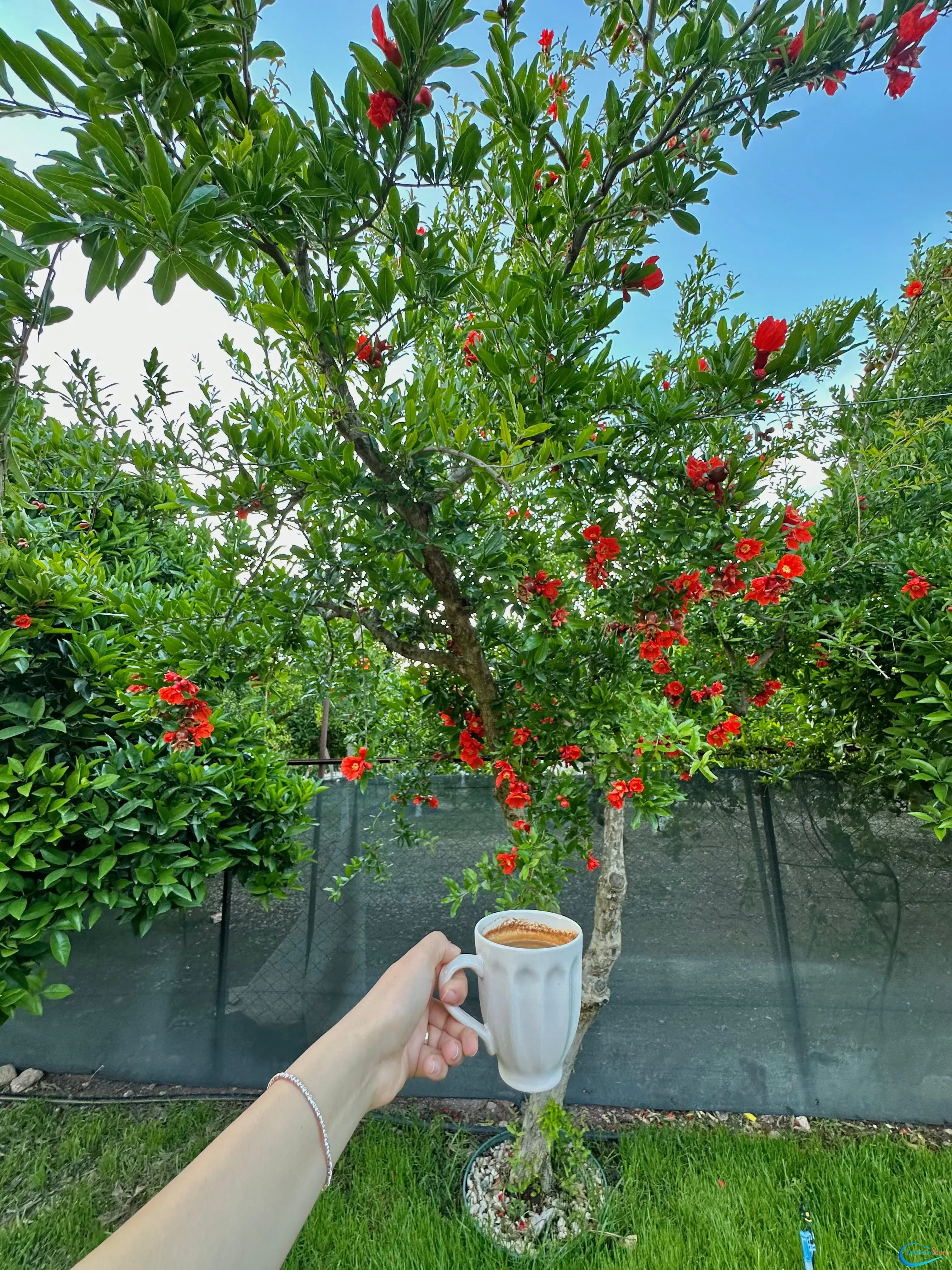 tatilcim.com Zehra Apart Evleri